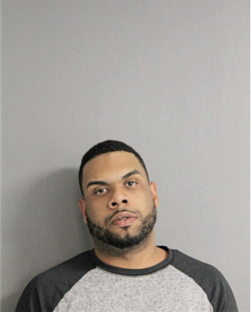 YOHAN S REYES, Cook County, Illinois