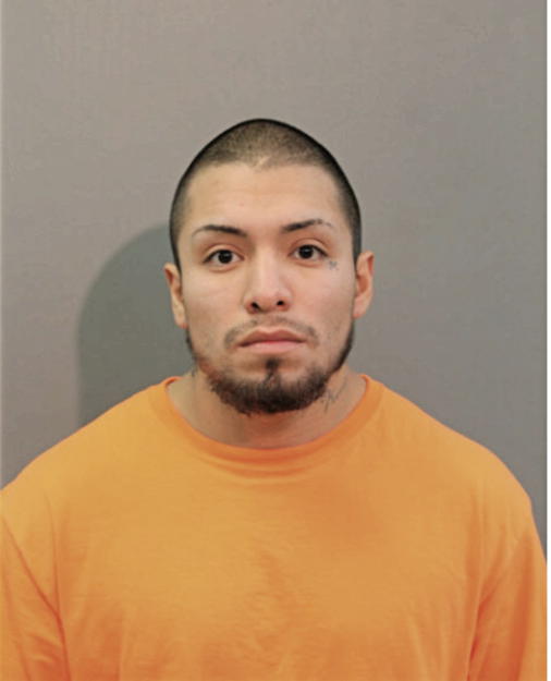 FREDDIE RIOS, Cook County, Illinois