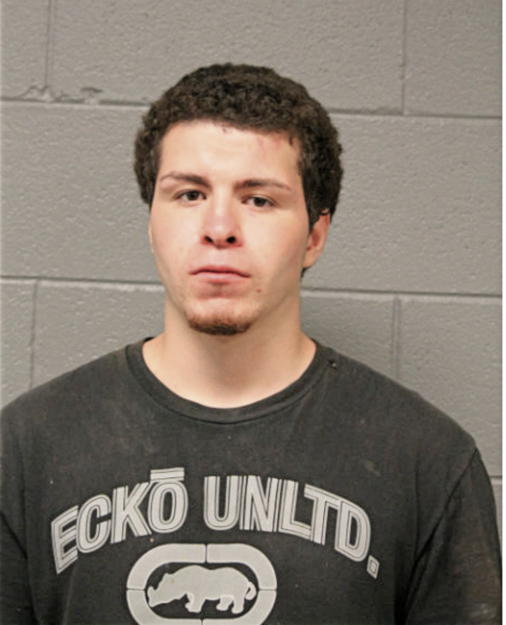 ALEXANDER D RIVERA, Cook County, Illinois