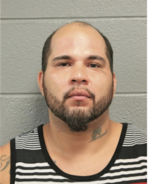 CARLOS L RIVERA, Cook County, Illinois