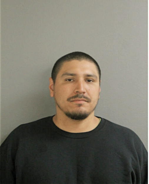 MARCO A SALAS, Cook County, Illinois