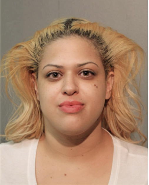 YESENIA M SANTIAGO, Cook County, Illinois