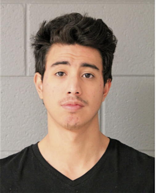 ZACHARY N ZAMBRANO-CELIS, Cook County, Illinois