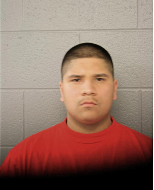 SAMUEL ALVARADO, Cook County, Illinois