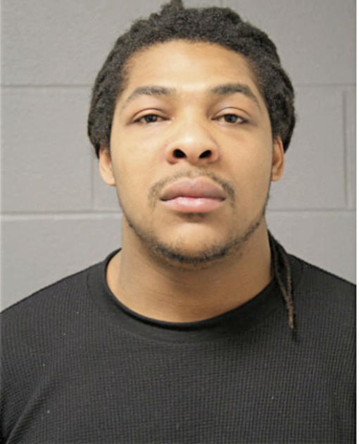 BRYAN L BALLARD, Cook County, Illinois