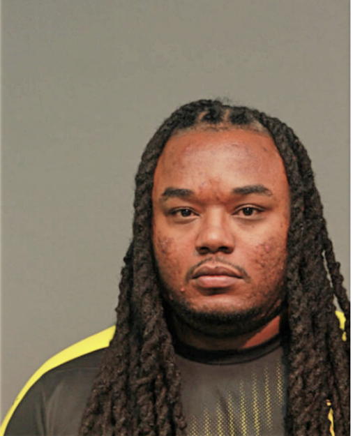 MICHAEL A BASS, Cook County, Illinois