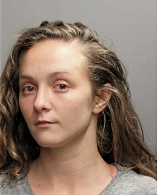 KATHERINE L BEZROUCH, Cook County, Illinois