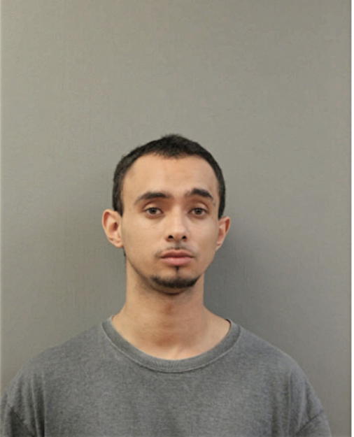 LUIS A BOYAS, Cook County, Illinois