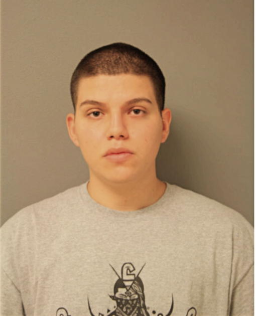 FRANK F CERDA, Cook County, Illinois