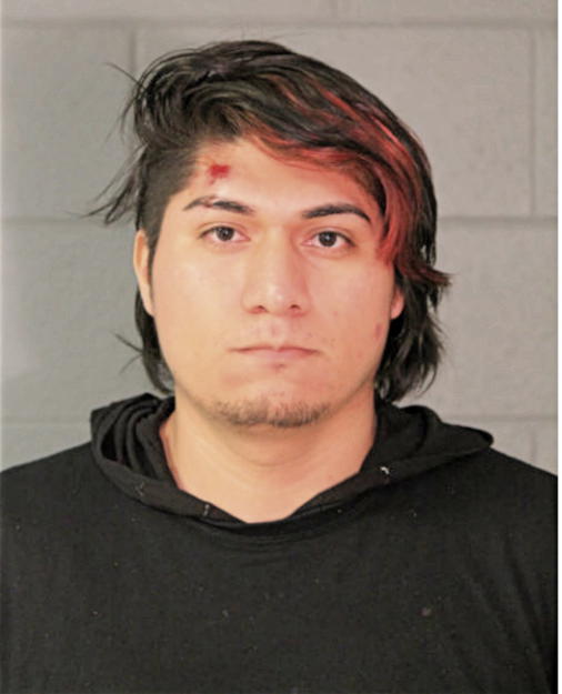 LEONEL NMI CRUZ, Cook County, Illinois
