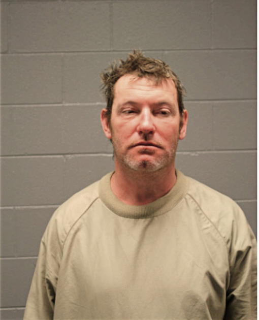 MICHAEL L DAVIS, Cook County, Illinois
