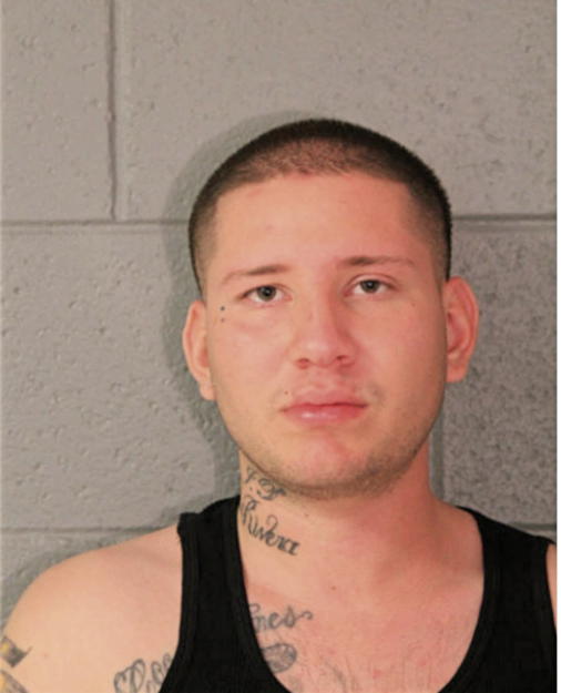 JOSE T DOMINGUEZ, Cook County, Illinois