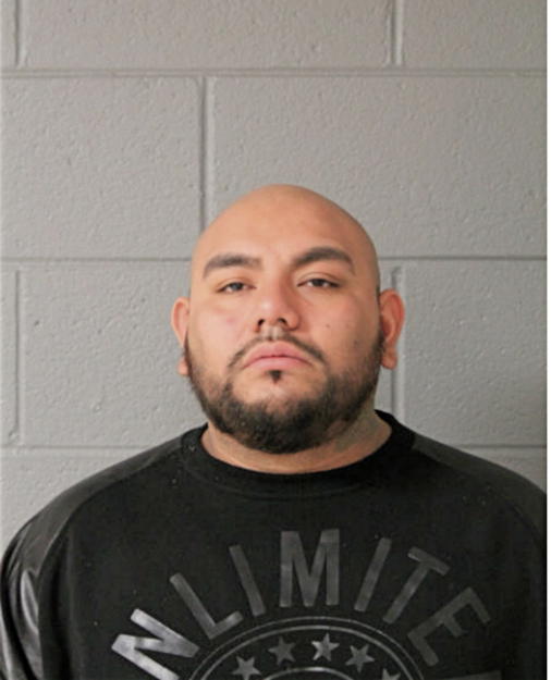 RICARDO S GARCIA, Cook County, Illinois