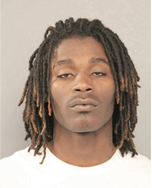LASHE D HAMLER, Cook County, Illinois