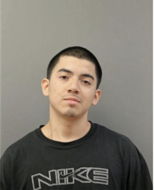 JONATHAN HOLGUIN, Cook County, Illinois