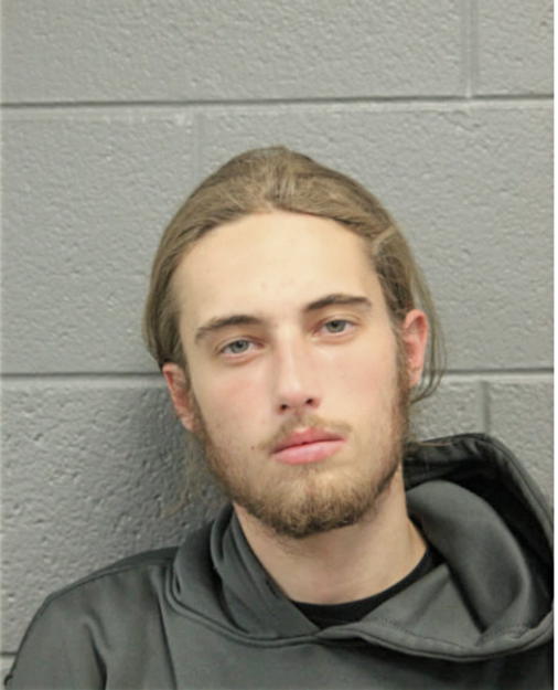 TYLER J LAYNE, Cook County, Illinois
