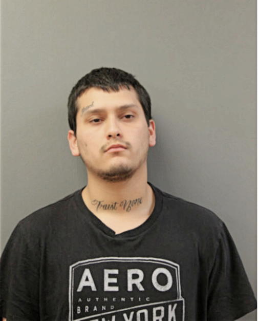 CHEECH MARTINEZ, Cook County, Illinois