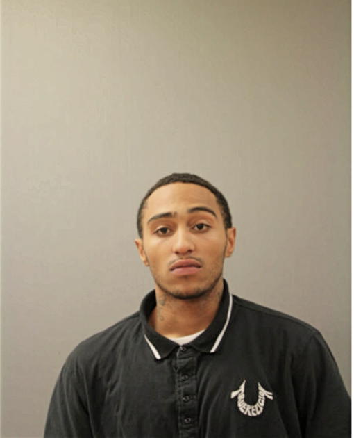JEREMY L MARTINEZ, Cook County, Illinois