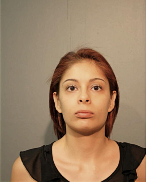 VENESSA M METOYER, Cook County, Illinois