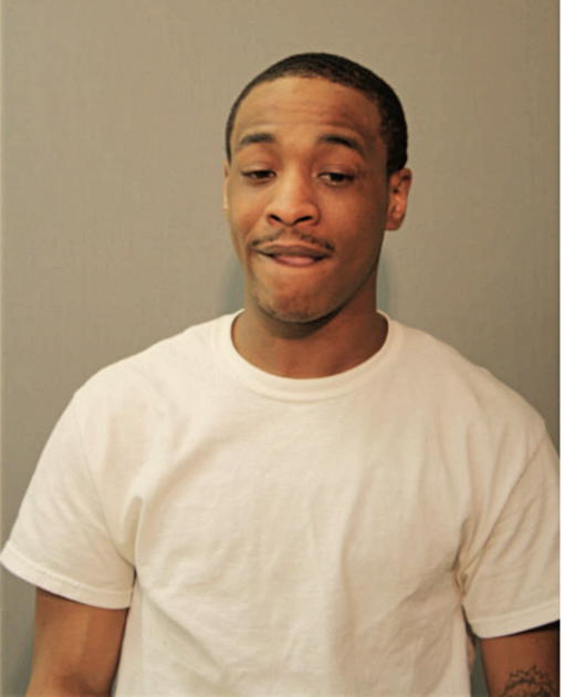 TERRANCE L MILLS, Cook County, Illinois