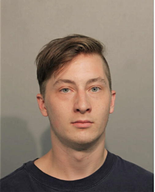 NATHAN M RAYMOND, Cook County, Illinois