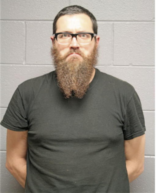 DANIEL H RHODEHAMEL, Cook County, Illinois