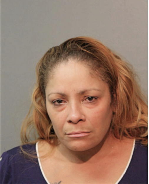CHRISTINA M SANTIAGO, Cook County, Illinois