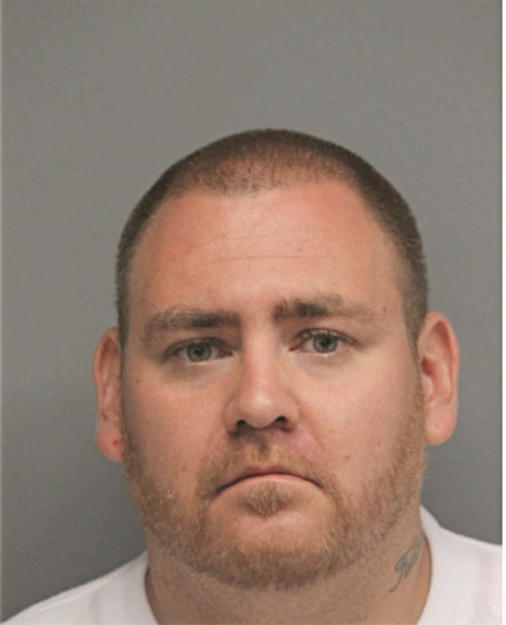 CHRISTOPHER R VAN-ALSTINE, Cook County, Illinois