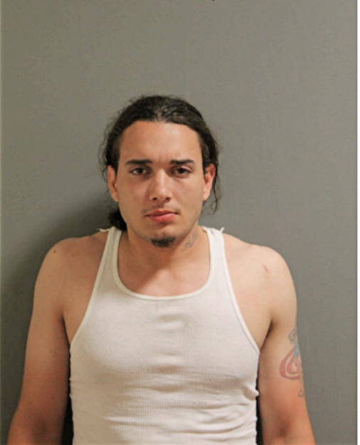 NELSON VASQUEZ, Cook County, Illinois