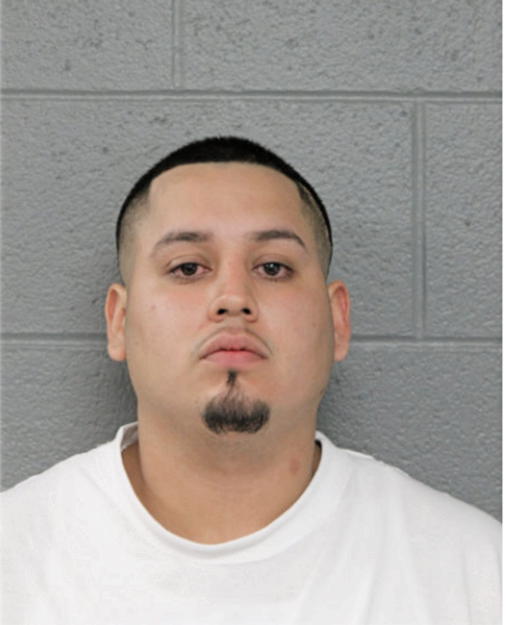 GERARDO A VILLARREAL, Cook County, Illinois