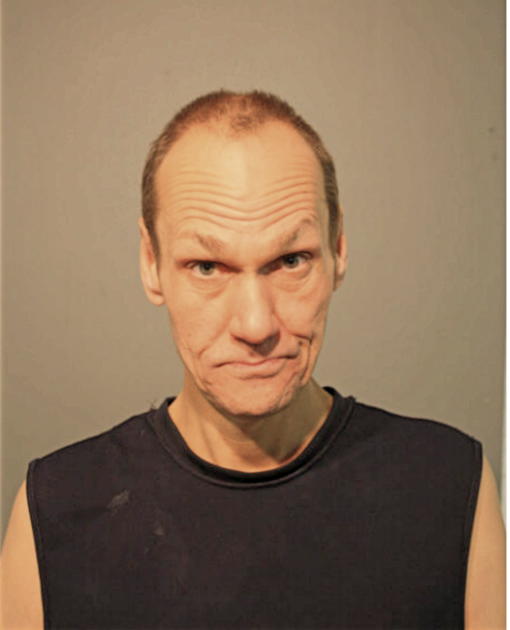 DAREN W WESTERMAN, Cook County, Illinois