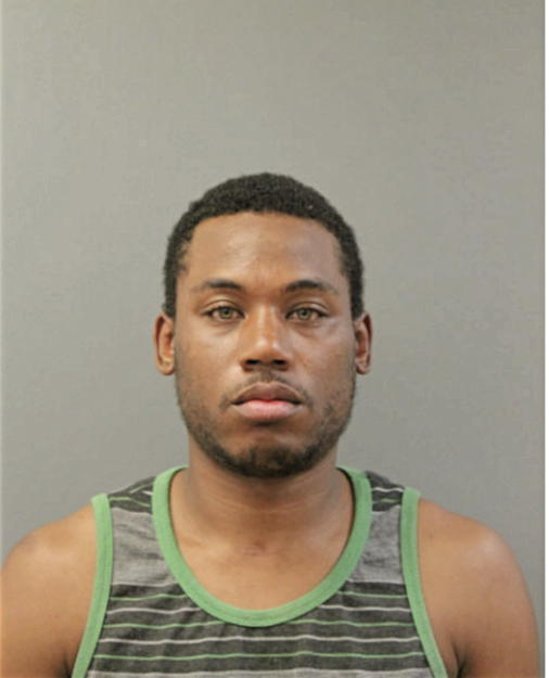 CHRISTOPHER L BROWN, Cook County, Illinois