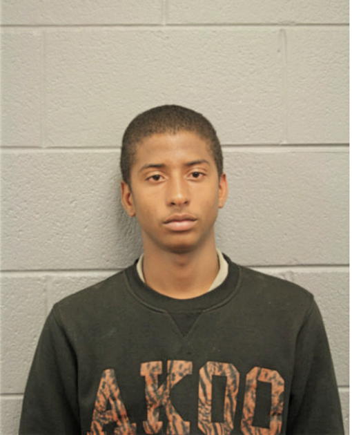 MICHAEL D BROWN, Cook County, Illinois