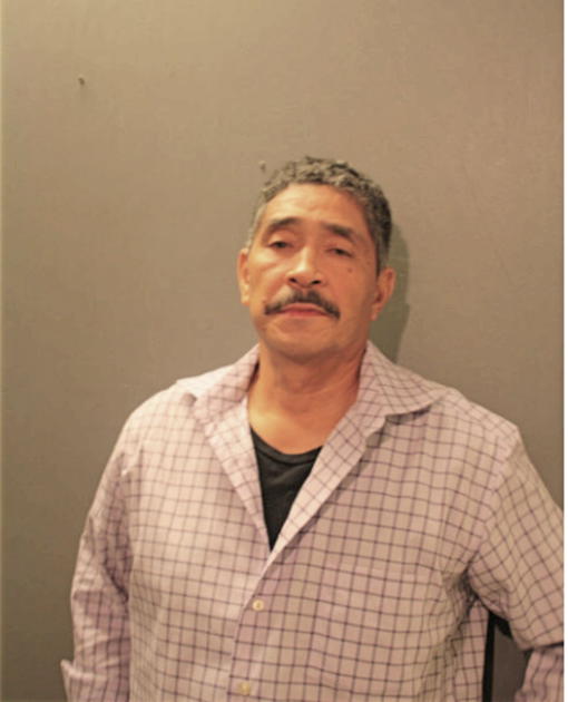 STEVEN O BROWN, Cook County, Illinois