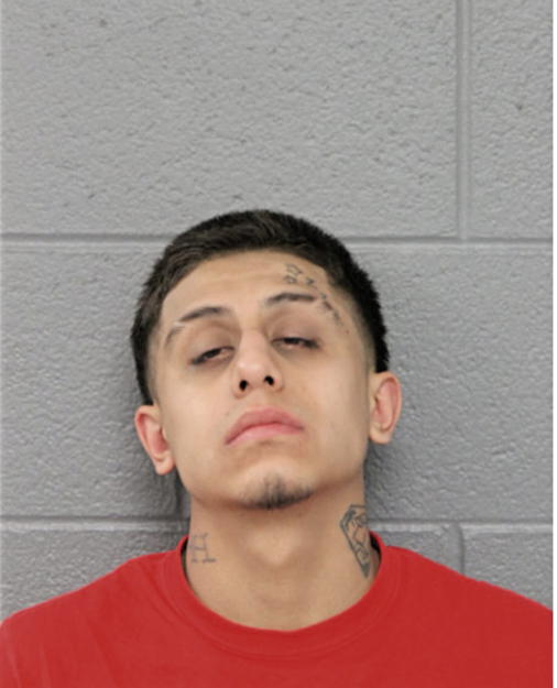 MIGUEL CUAUNTLA, Cook County, Illinois
