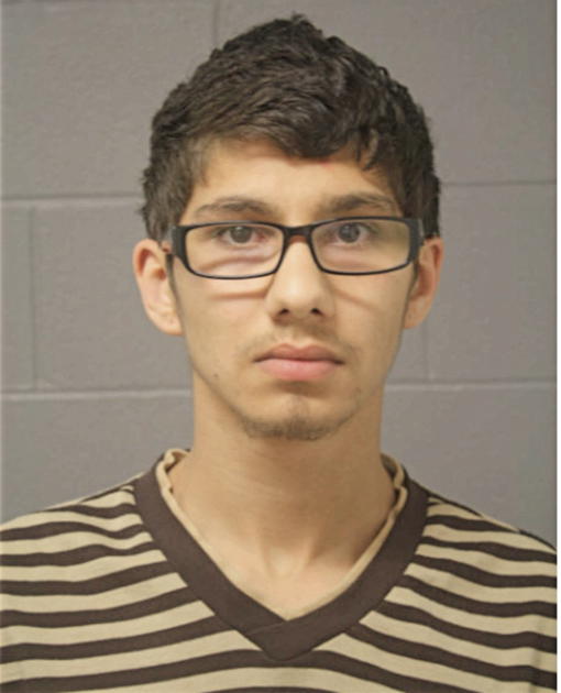 TYLER H HAMAD, Cook County, Illinois