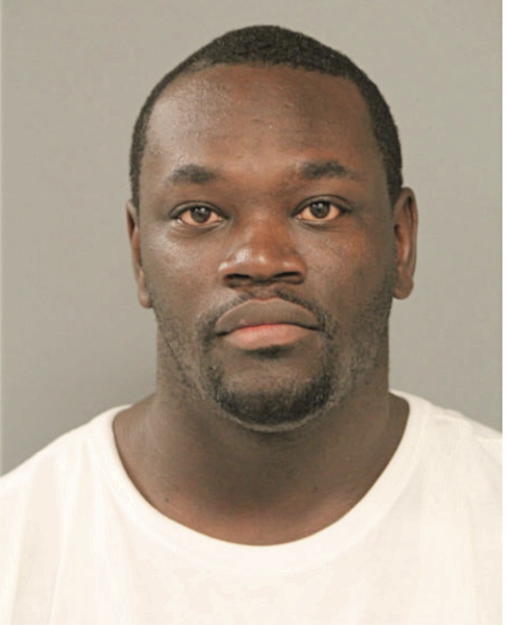 DAVID B JOHNSON, Cook County, Illinois