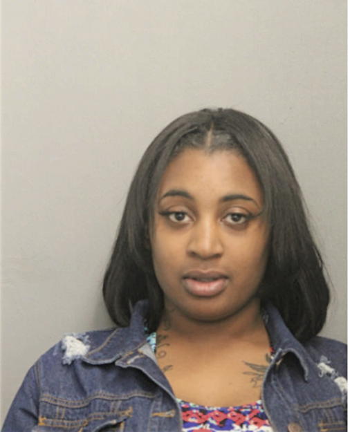 LEWIS A KALEISHA, Cook County, Illinois