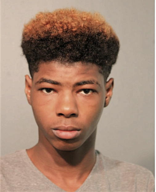 DARRION BRICELAND RASHAD JONES, Cook County, Illinois