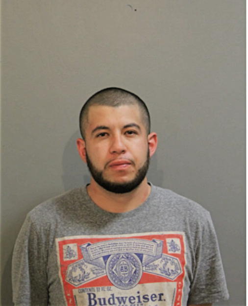 JOSE G RODRIGUEZ, Cook County, Illinois