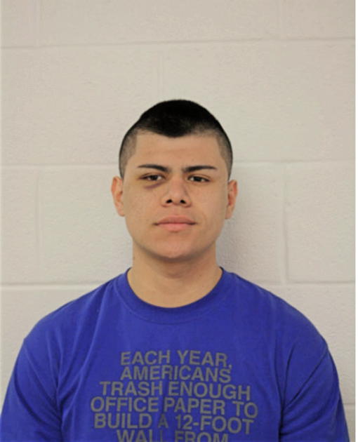 PAUL ROMAN, Cook County, Illinois