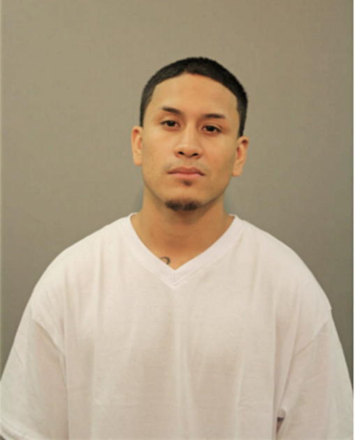JOSE A SALMERON, Cook County, Illinois