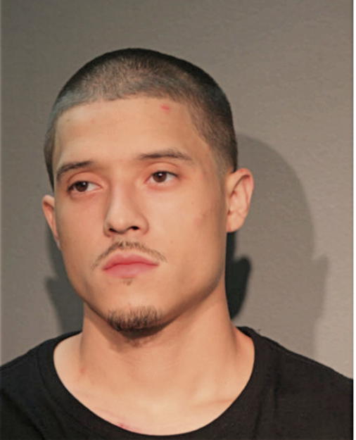ANDY J SANTANA JR, Cook County, Illinois