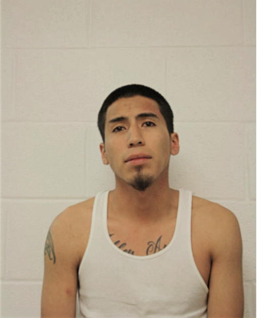 JOSE SOTELO, Cook County, Illinois