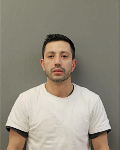 SERGIO R UMANA, Cook County, Illinois