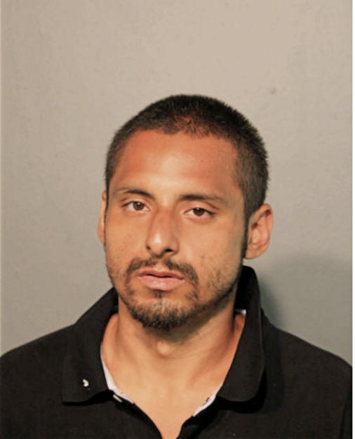 FRANCISCO J VEGA, Cook County, Illinois