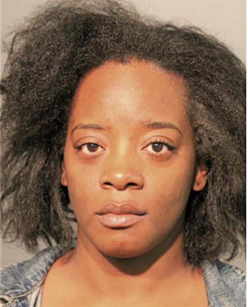 TATIANA S WARREN, Cook County, Illinois