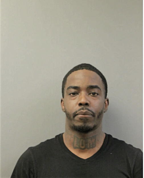JOHN P WOODARD, Cook County, Illinois