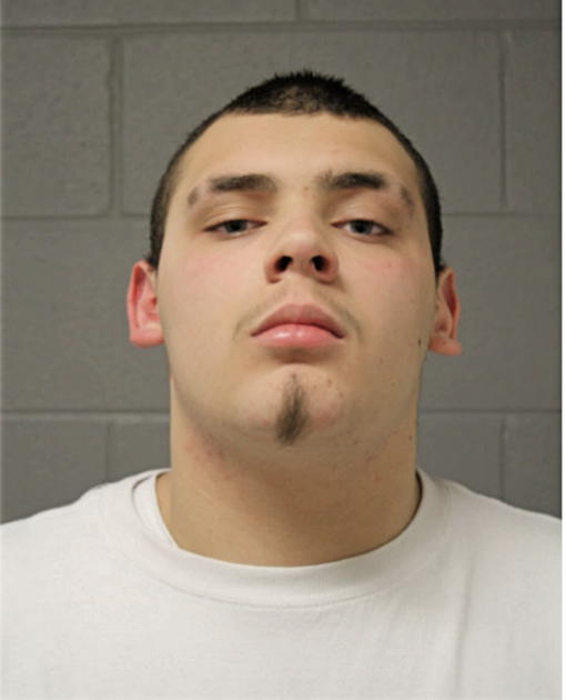 GINO F ZEPEDA, Cook County, Illinois