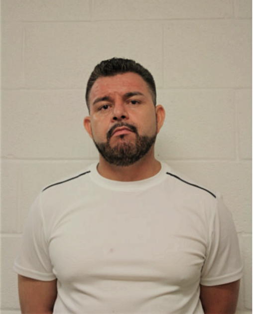 WALDO ANDRADE, Cook County, Illinois